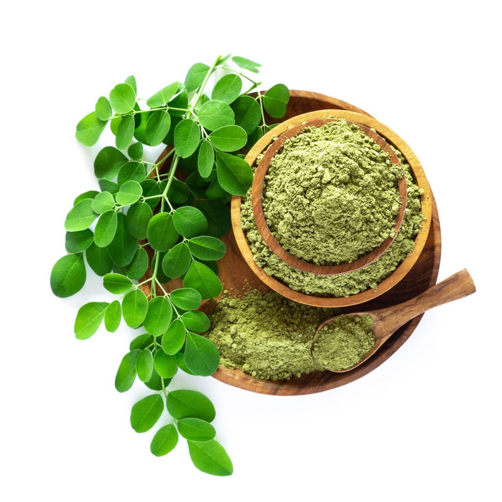 خواص ضد پیری مورینگا اولیفرا 1 مورینگا اولیفرا سرشار از اسید کلروژنیک