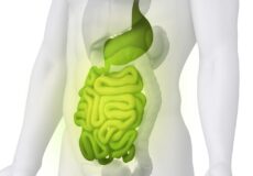 digestive