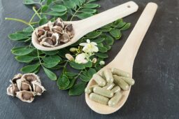 Moringa Oleifera 800px