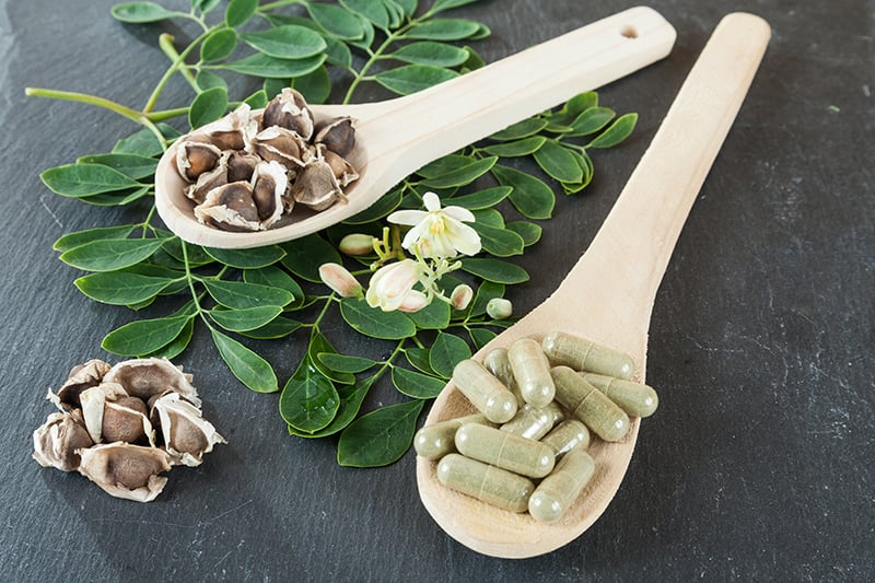 4 اثر دانه های مورینگا بر فشار خون بالا 1 Moringa Oleifera